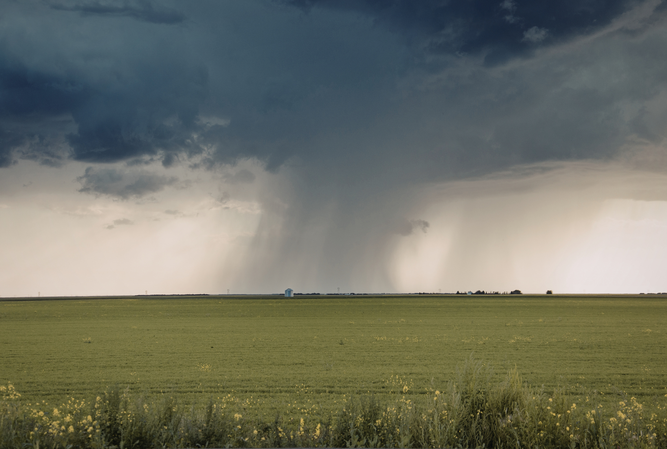 What to do during severe weather