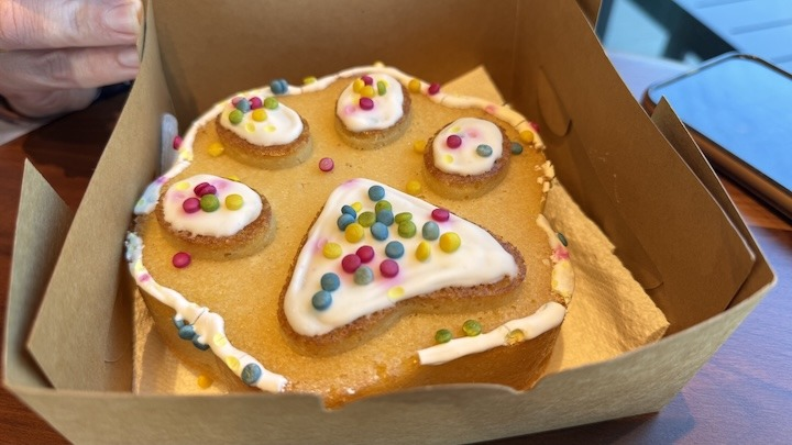 From breakfast plates to dog bakery: How four dachshunds inspired a business